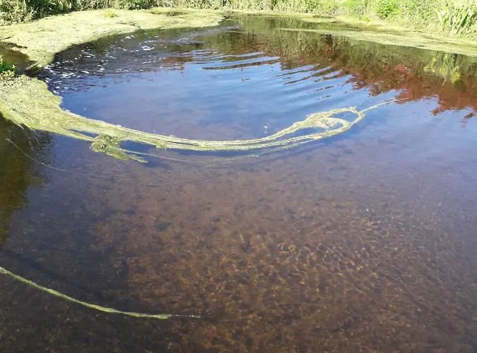 Maison Située à 300 Mètres De La Thalasso De Et Des Plages