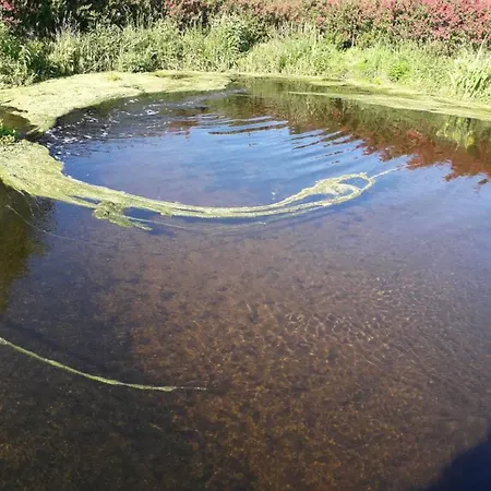 Maison Situee A 300 Metres De La Thalasso De Et Des Plages